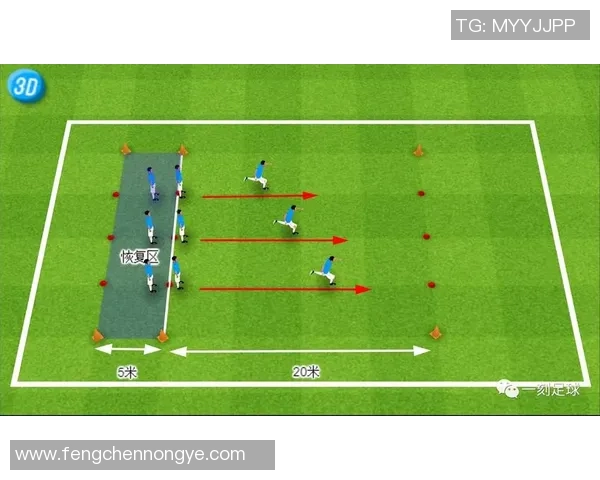 国际足球球星高效训练计划全解析助力球员提升技战术水平与体能素质