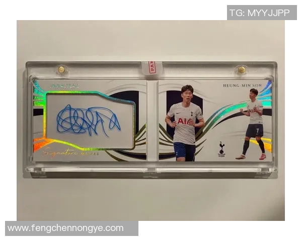 两元一包足球球星卡趣味收集，开启你的专属卡片收藏之旅