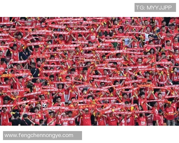 足球巨星亲吻奖牌瞬间展现荣耀激情点燃无数球迷热血