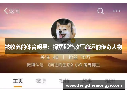 被收养的体育明星：探索那些改写命运的传奇人物