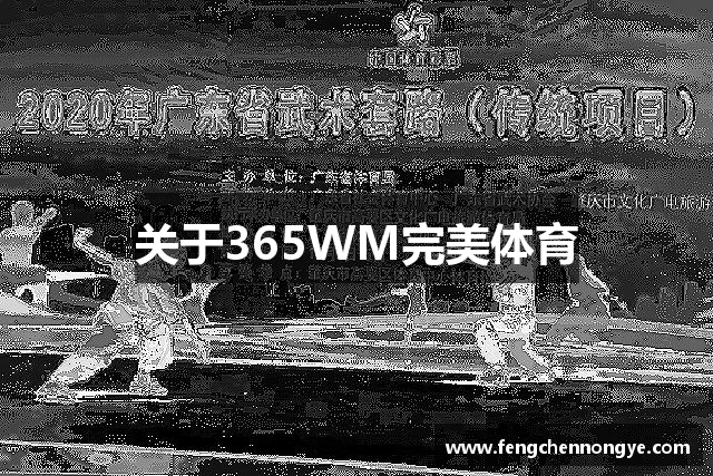 关于365WM完美体育